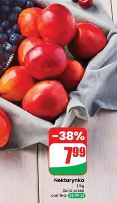 Dino Nektarynka oferta
