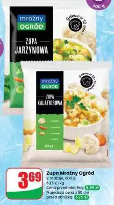 Dino Zupa Mroźny Ogród oferta