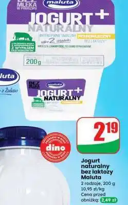 Dino Jogurt naturalny bez laktozy Maluta oferta
