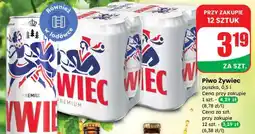 Dino Piwo Żywiec oferta