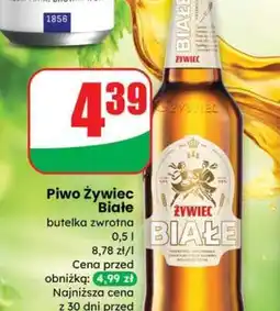 Dino PIWO ŻYWIEC BIAŁE oferta