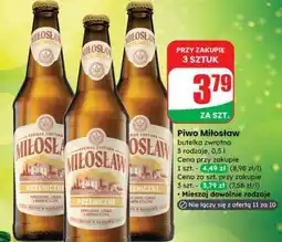 Dino Piwo MIŁOSŁAW oferta