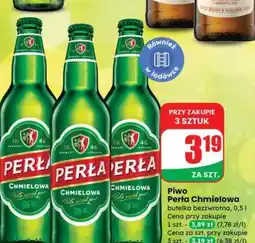 Dino Piwo PERŁA CHMIELOWA oferta