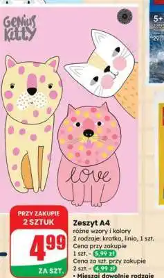 Dino Zeszyt A4 oferta
