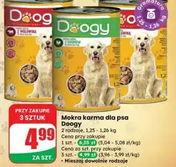 Dino Mokra karma dla psa Doogy oferta