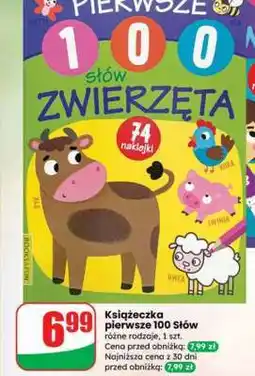 Dino Książeczka pierwsze 100 Słów oferta