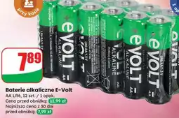 Dino Baterie alkaliczne E Volt oferta