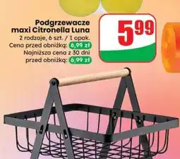 Dino Podgrzewacze maxi Citronella Luna oferta