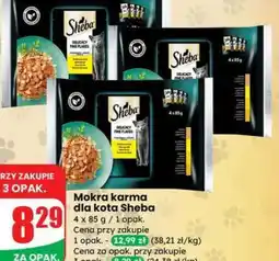 Dino Mokra karma dla kota Sheba oferta