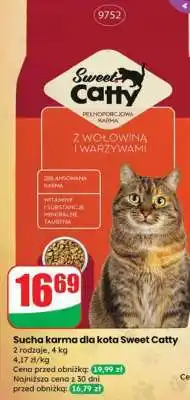 Dino Sucha karma dla kota Sweet Catty oferta