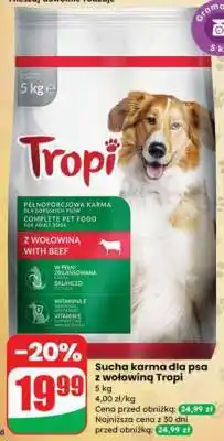 Dino Sucha karma dla psa z wołowiną Tropi oferta