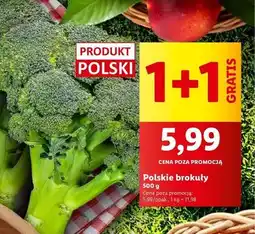 Lidl Brokuł polska oferta