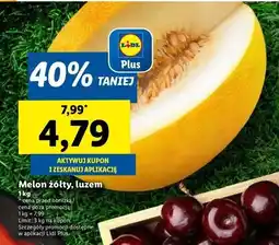 Lidl Melon żółty oferta