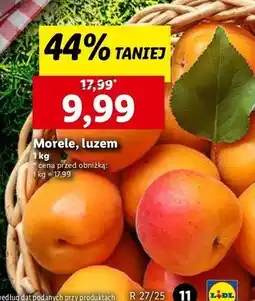 Lidl Morele oferta