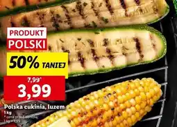 Lidl Cukinia polska oferta