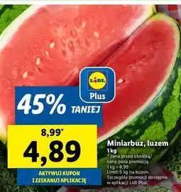 Lidl Arbuz mini oferta