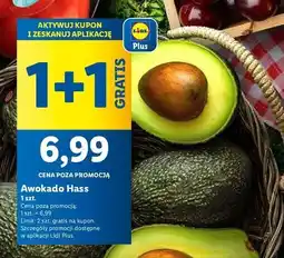 Lidl Awokado hass oferta