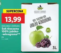 Lidl Sok jabłko-winogrono Dolina Czerska oferta