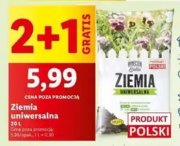 Lidl Ziemia uniwersalna Ryneczek Lidla oferta