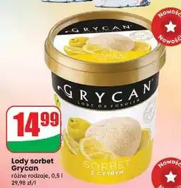 Dino Sorbet z cytryn Grycan oferta