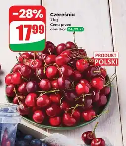 Dino Czereśnie oferta