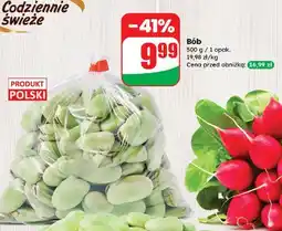 Dino Bób oferta
