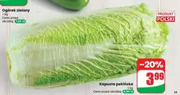 Dino Kapusta pekińska oferta