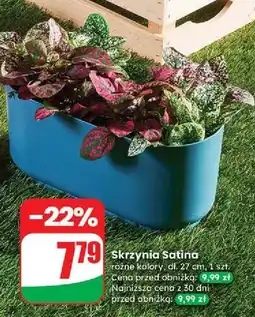 Dino Skrzynka satina 27 cm oferta
