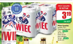 Dino Piwo Żywiec Jasne Pełne oferta