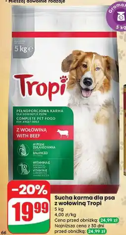 Dino Karma dla psa z wołowiną Tropi oferta
