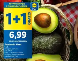 Lidl Awokado Hass Lidl oferta