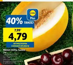 Lidl Melon żółty Lidl oferta