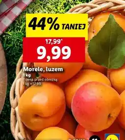 Lidl Morele Lidl oferta