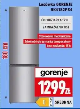 Neopunkt Lodówka Gorenje oferta