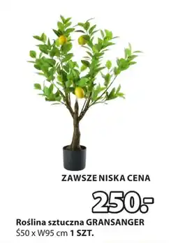 JYSK Sztuczna roślina oferta