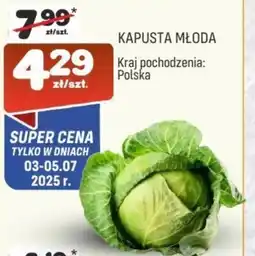Społem Kapusta młoda oferta