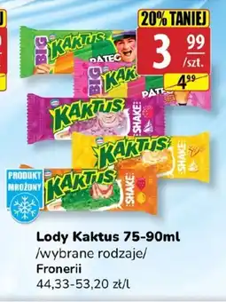 API MARKET Lody Kaktus oferta