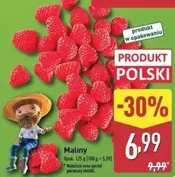 ALDI Malina polska oferta