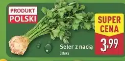 ALDI Seler z nacią oferta