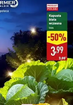 ALDI Kapusta biała oferta