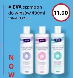 Drogeria alicja Szampon Eva oferta