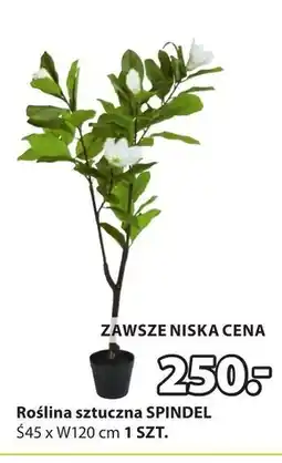 JYSK Sztuczna roślina oferta