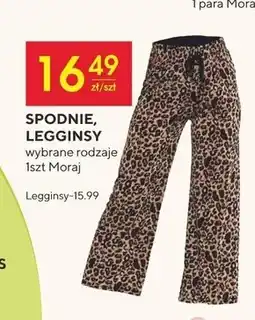 Społem Legginsy Moraj oferta