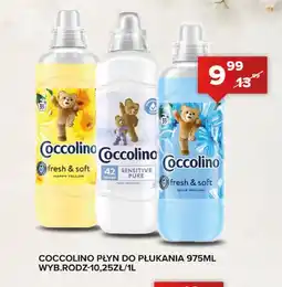 Spiżarnia Smakosza Płyn do płukania Coccolino oferta