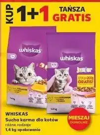 Kaufland Karma dla kota z kurczakiem Whiskas Junior oferta