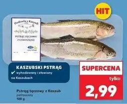 Kaufland Pstrąg tęczowy patroszony Hodowla Z Kaszub oferta