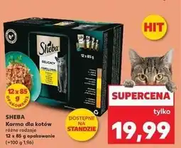 Kaufland Karma dla kota smaki drobiowe w galaretce Sheba Delicacy In Jelly oferta