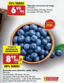 Biedronka Borówka amerykańska Biedronka oferta
