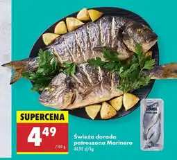 Biedronka Dorada świeża patroszona Marinero oferta