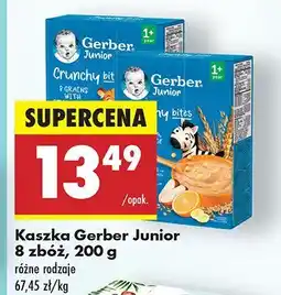 Biedronka Kaszka Gerber Junior 8 zbóż oferta